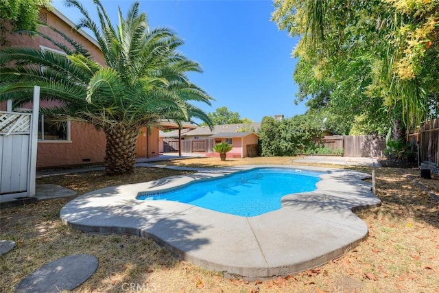 246 E Shasta St, Orland, CA 95963 - view of swimming pool with a fenced backyard, a shed, and a patio