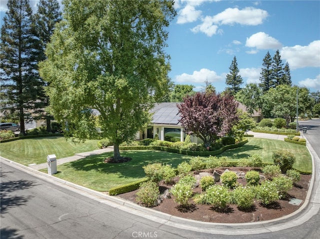2640 Tenaya Way, Fresno, CA 93711 - view of property hidden behind natural elements featuring solar panels and a front lawn