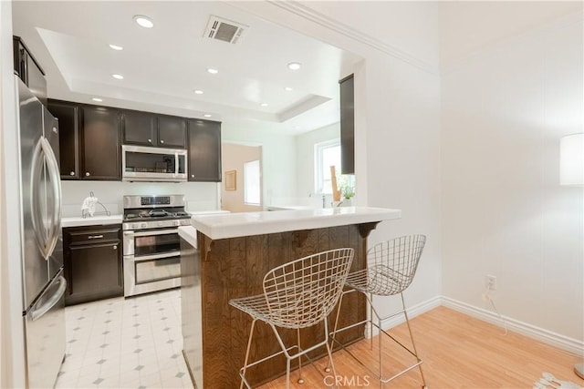 7215 Enfield Ave, Reseda, CA 91335 - kitchen with stainless steel appliances, a raised ceiling, a breakfast bar, light countertops, and light flooring