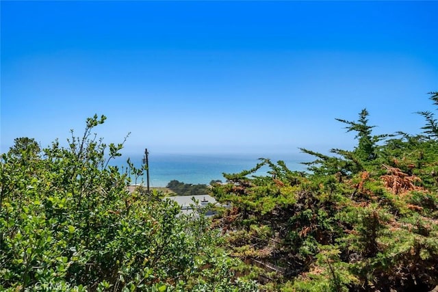 1799 Saint Thomas Ave, Cambria, CA 93428 - view of nature with a large body of water