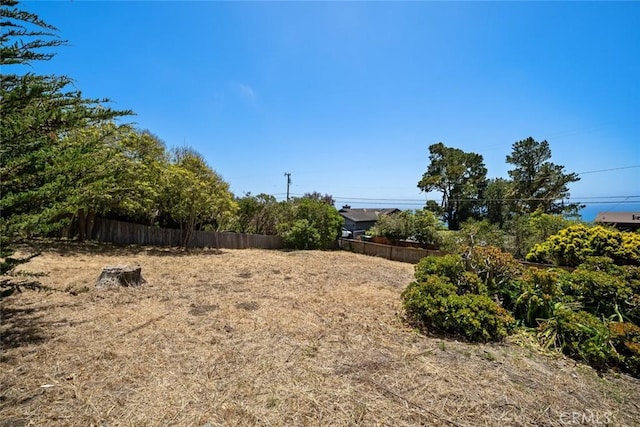 1799 Saint Thomas Ave, Cambria, CA 93428 - view of yard
