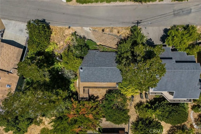 1799 Saint Thomas Ave, Cambria, CA 93428 - view of subject property