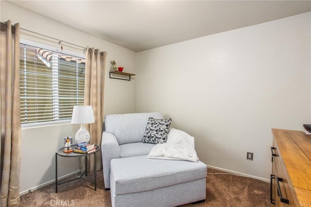 93 Kansas St Unit 205, Redlands, CA 92373 - living area featuring carpet floors and healthy amount of natural light