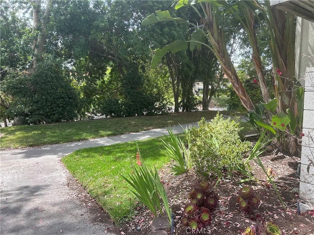 911 Ronda Sevilla Unit D, Laguna Woods, CA 92637 - view of grassy yard