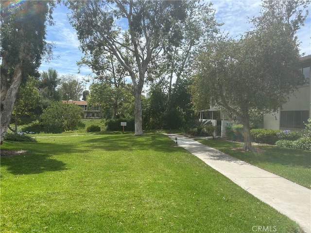 911 Ronda Sevilla Unit D, Laguna Woods, CA 92637 - view of property's community with a lawn