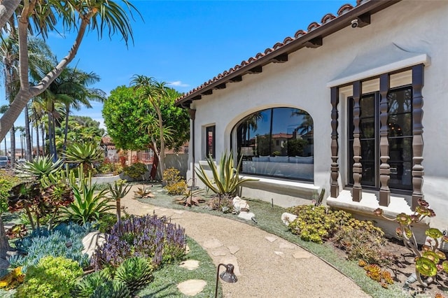282 Argonne Ave, Long Beach, CA 90803 - view of yard