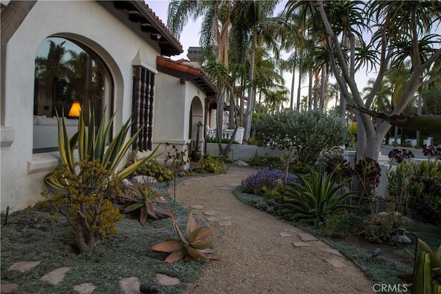 282 Argonne Ave, Long Beach, CA 90803 - view of yard