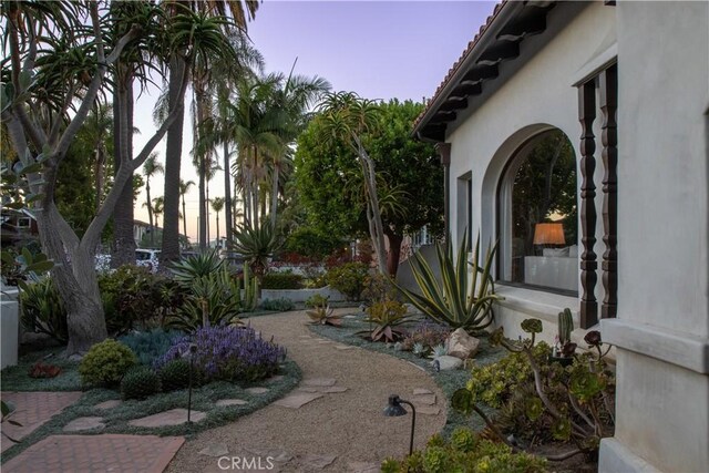 282 Argonne Ave, Long Beach, CA 90803 - view of yard at dusk