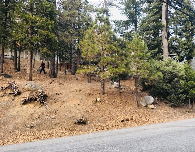 27315 Pinewood Dr, Lake Arrowhead, CA 92352 - photo 4