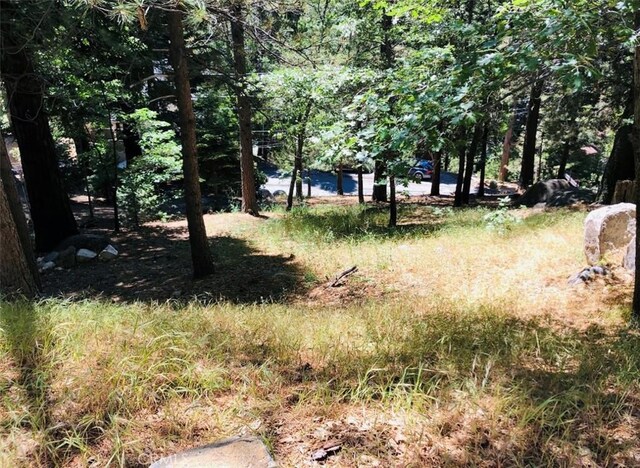 27315 Pinewood Dr, Lake Arrowhead, CA 92352 - photo 3
