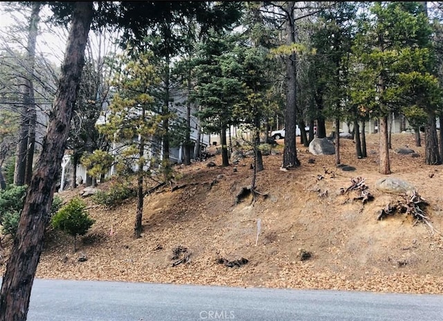 27315 Pinewood Dr, Lake Arrowhead, CA 92352 - photo 1