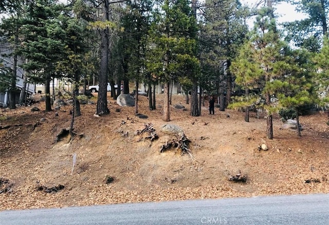 27315 Pinewood Dr, Lake Arrowhead, CA 92352 - photo 2