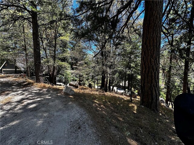 27315 Pinewood Dr, Lake Arrowhead, CA 92352 - photo 8