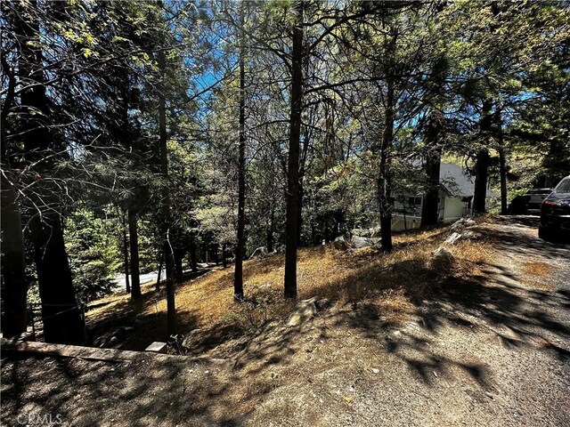 27315 Pinewood Dr, Lake Arrowhead, CA 92352 - photo 9