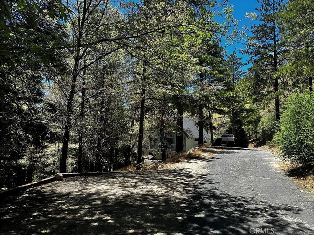 27315 Pinewood Dr, Lake Arrowhead, CA 92352 - photo 7