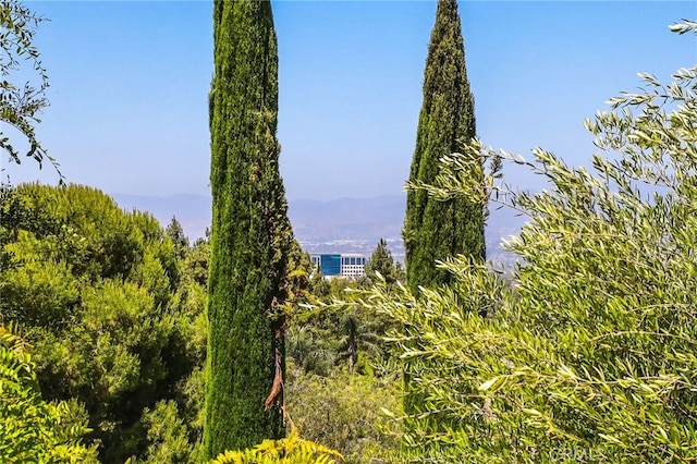 11 Heartwood Way, Aliso Viejo, CA 92656 - view of undeveloped land