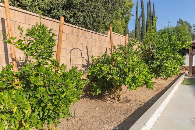 1827 Montecito Ln, Redlands, CA 92374 - view of yard