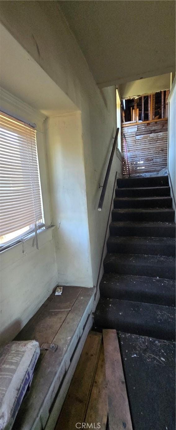 2008 W 28th St, Los Angeles, CA 90018 - photo 9