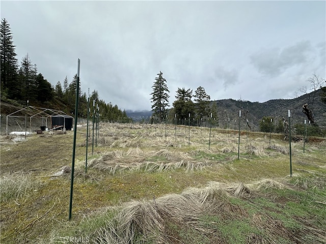 240 Rasmusen Ln, Northwest Trinity, CA 96048