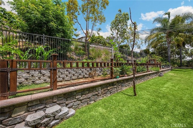 17286 Coriander Ct, Yorba Linda, CA 92886 - view of yard