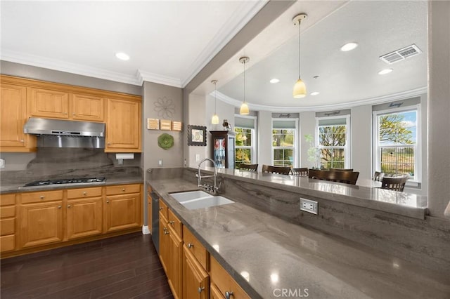 17286 Coriander Ct, Yorba Linda, CA 92886 - kitchen with under cabinet range hood, stainless steel appliances, ornamental molding, stone countertops, and dark wood-style flooring