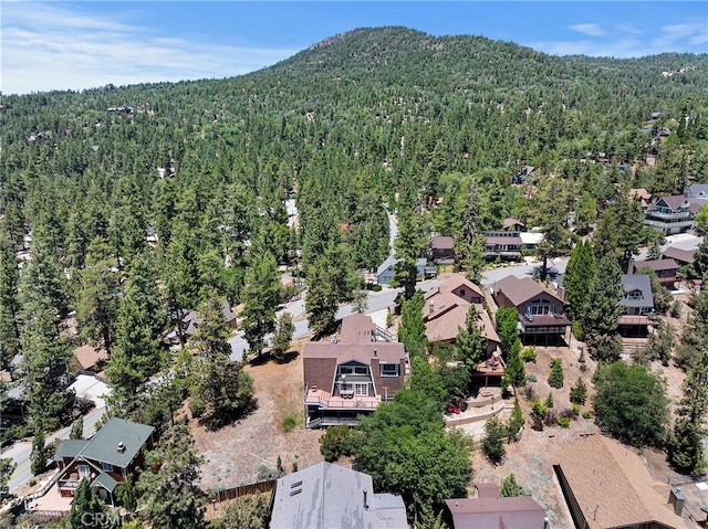 39325 Lodge Rd, Fawnskin, CA 92333 - photo 38