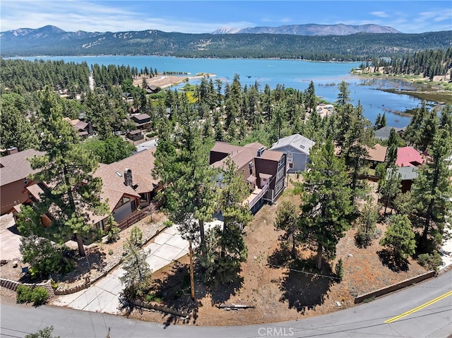 39325 Lodge Rd, Fawnskin, CA 92333 - photo 2