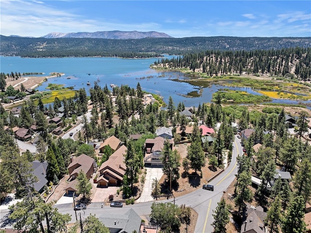 39325 Lodge Rd, Fawnskin, CA 92333 - photo 37
