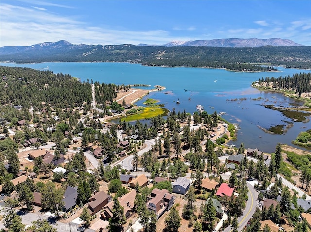 39325 Lodge Rd, Fawnskin, CA 92333 - photo 3