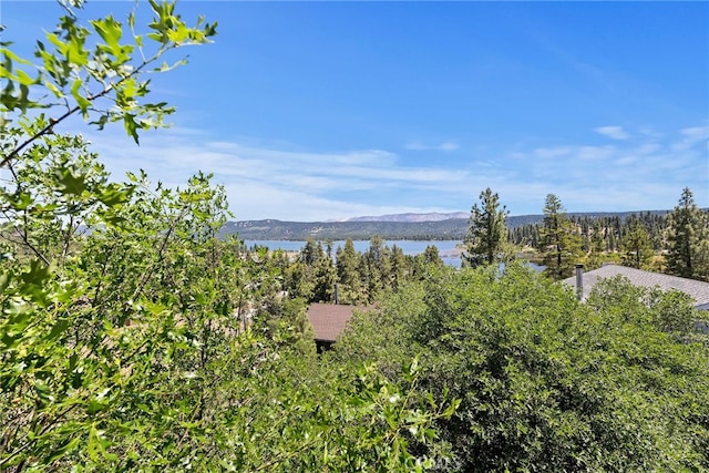 39325 Lodge Rd, Fawnskin, CA 92333 - photo 62