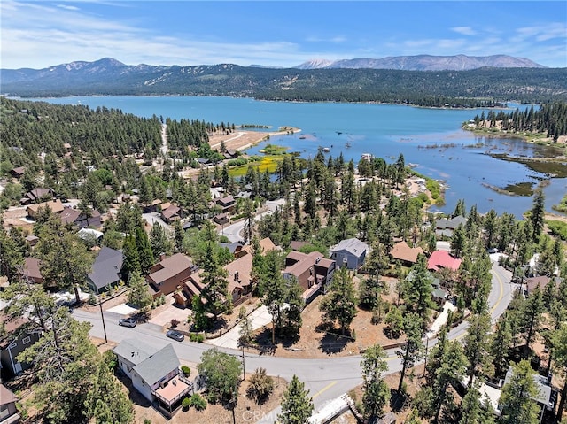 39325 Lodge Rd, Fawnskin, CA 92333 - photo 39