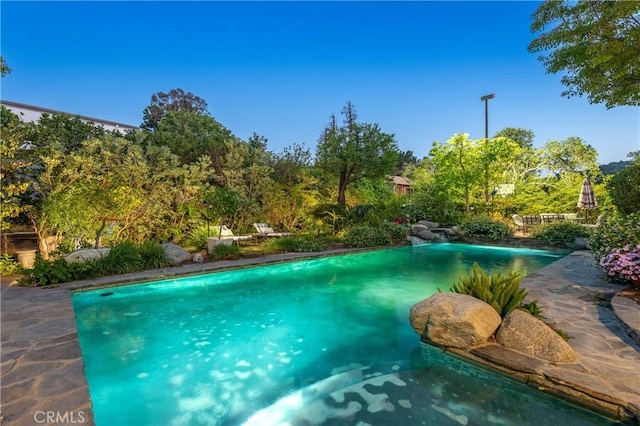3541 Westfall Dr, Encino, CA 91436 - view of outdoor pool