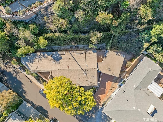 2869 Anchor Ave, Los Angeles, CA 90064 - photo 1