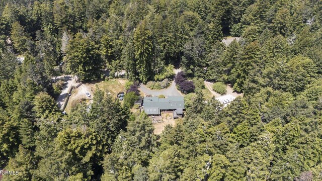 10941 Gurley Ln, Mendocino, CA 95460 - photo 32
