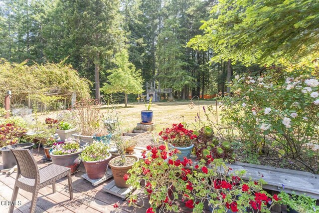10941 Gurley Ln, Mendocino, CA 95460 - photo 34