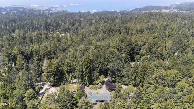 10941 Gurley Ln, Mendocino, CA 95460 - photo 36