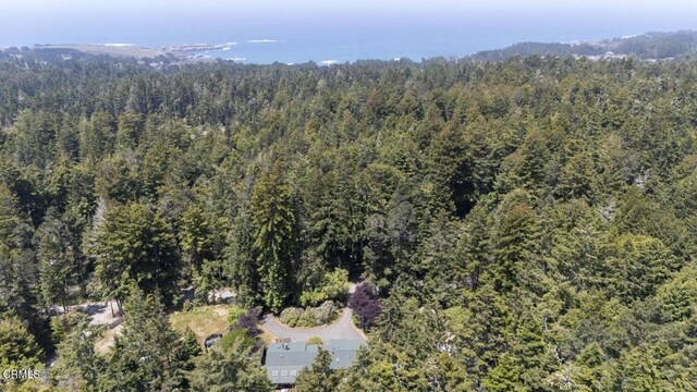10941 Gurley Ln, Mendocino, CA 95460 - photo 27