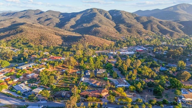 3204 Via Caliente Del Sol, Jamul, CA 91935 - view of mountain background