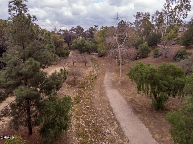 5684 Recodo Way, Camarillo, CA 93012 - view of road