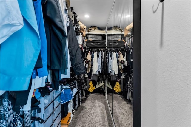 1446 Azalea Cir, Gardena, CA 90247 - spacious closet with carpet floors