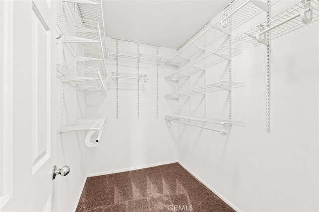 39719 Princeton Way Unit C, Murrieta, CA 92563 - walk in closet with carpet flooring