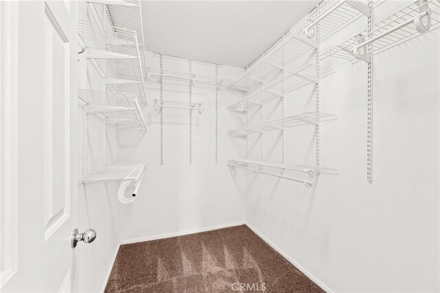 39719 Princeton Way Unit C, Murrieta, CA 92563 - spacious closet with carpet flooring