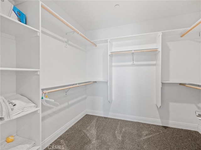 15679 Tuscola Rd, Apple Valley, CA 92307 - spacious closet featuring carpet