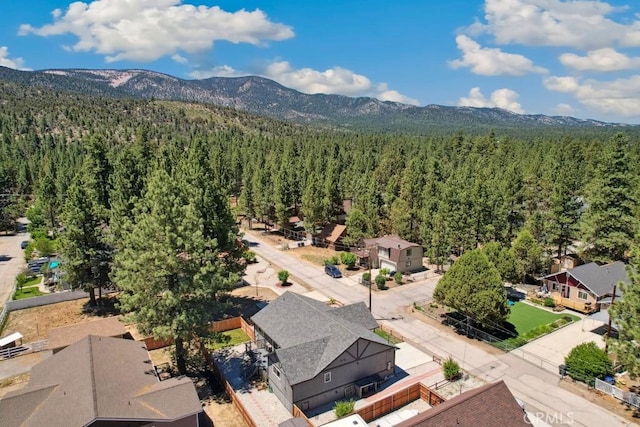836 D Ln, Big Bear City, CA 92314 - photo 19