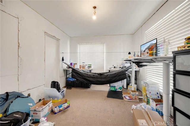 1411 Woodcrest Ave, La Habra, CA 90631 - misc room featuring carpet floors and healthy amount of natural light