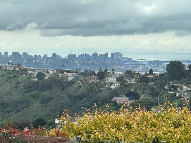 6544 Caminito Northland Ln, Jolla, CA 92037 - skyline view