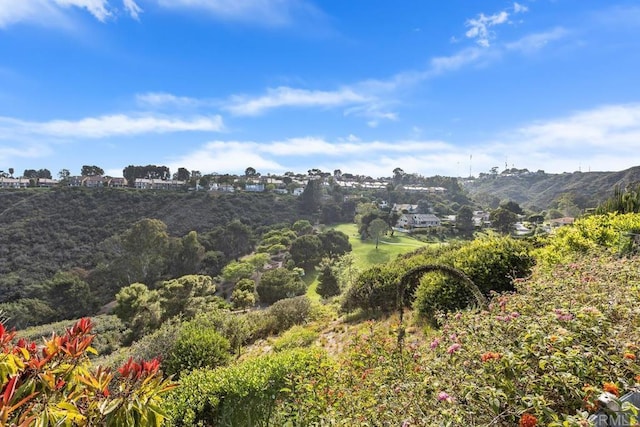 6544 Caminito Northland Ln, Jolla, CA 92037 - view of mountain backdrop