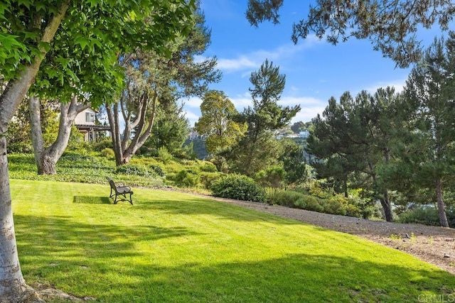 6544 Caminito Northland Ln, Jolla, CA 92037 - surrounding community featuring a lawn