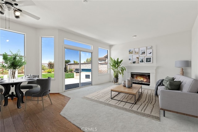 31794 Corte Rosario, Temecula, CA 92592 - living room with a glass covered fireplace, ceiling fan, and wood finished floors