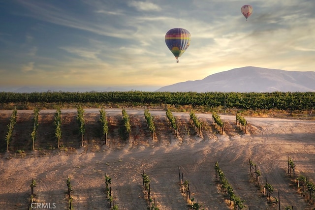 31794 Corte Rosario, Temecula, CA 92592 - view of mountain backdrop with rows of crops and rural landscape